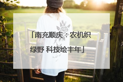 南充顺庆：农机织绿野 科技绘丰年