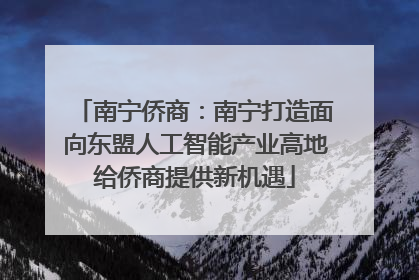 南宁侨商：南宁打造面向东盟人工智能产业高地给侨商提供新机遇