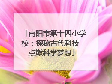 南阳市第十四小学校：探秘古代科技 点燃科学梦想