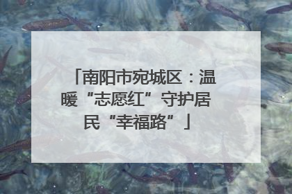 南阳市宛城区：温暖“志愿红”守护居民“幸福路”