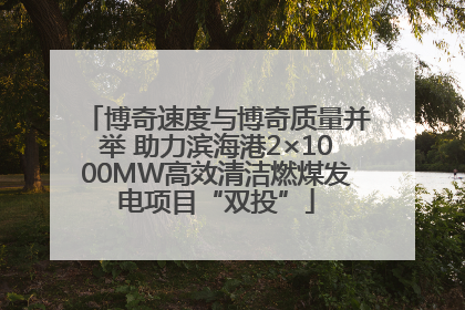 博奇速度与博奇质量并举 助力滨海港2×1000MW高效清洁燃煤发电项目“双投”