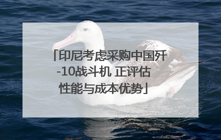 印尼考虑采购中国歼-10战斗机 正评估性能与成本优势
