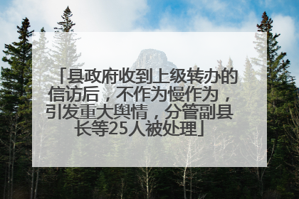 县政府收到上级转办的信访后，不作为慢作为，引发重大舆情，分管副县长等25人被处理
