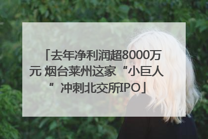 去年净利润超8000万元 烟台莱州这家“小巨人”冲刺北交所IPO