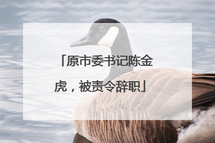原市委书记陈金虎，被责令辞职