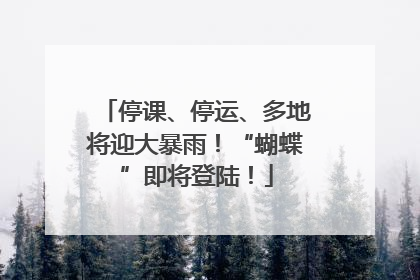 停课、停运、多地将迎大暴雨！“蝴蝶”即将登陆！