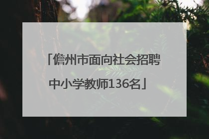 儋州市面向社会招聘中小学教师136名