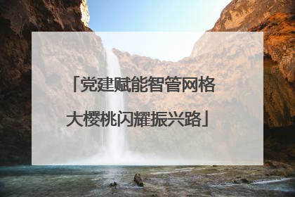 党建赋能智管网格 大樱桃闪耀振兴路