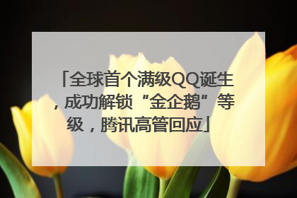 全球首个满级QQ诞生，成功解锁“金企鹅”等级，腾讯高管回应