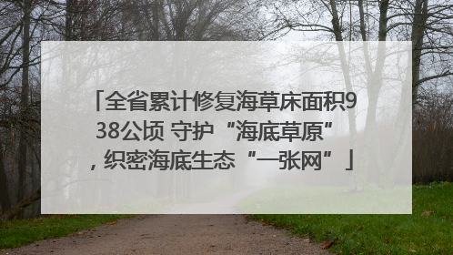 全省累计修复海草床面积938公顷 守护“海底草原”，织密海底生态“一张网”