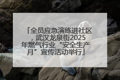 全员应急演练进社区，武汉龙泉街2025年燃气行业“安全生产月”宣传活动举行