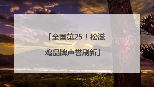 全国第25！松滋鸡品牌声誉刷新