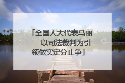全国人大代表马丽——以司法裁判为引领做实定分止争