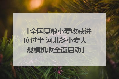 全国夏粮小麦收获进度过半 河北冬小麦大规模机收全面启动
