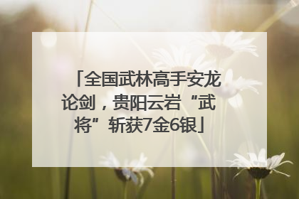 全国武林高手安龙论剑，贵阳云岩“武将”斩获7金6银