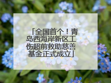 全国首个！青岛西海岸新区工伤超前救助慈善基金正式成立