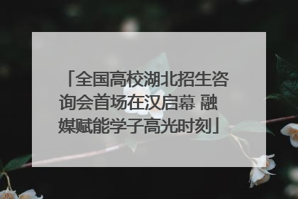 全国高校湖北招生咨询会首场在汉启幕 融媒赋能学子高光时刻