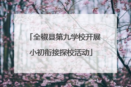 全椒县第九学校开展小初衔接探校活动