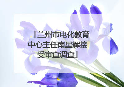 兰州市电化教育中心主任南星辉接受审查调查