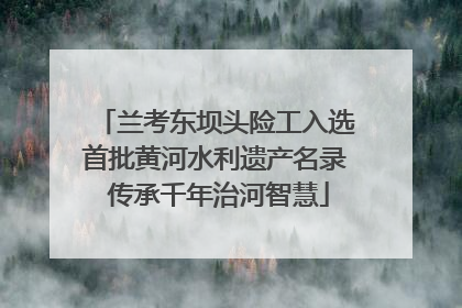 兰考东坝头险工入选首批黄河水利遗产名录 传承千年治河智慧