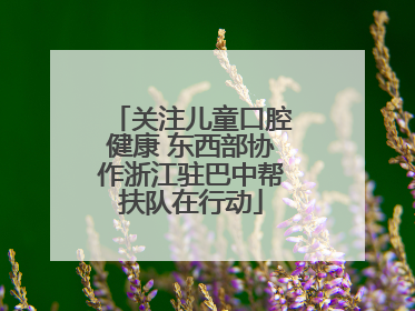 关注儿童口腔健康 东西部协作浙江驻巴中帮扶队在行动