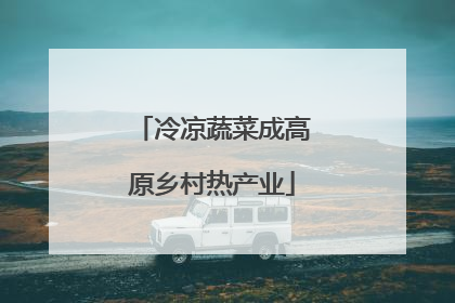 冷凉蔬菜成高原乡村热产业