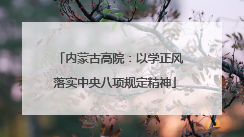 内蒙古高院：以学正风落实中央八项规定精神