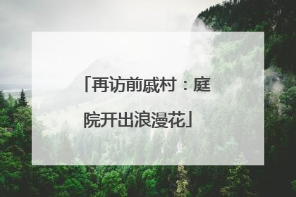 再访前戚村：庭院开出浪漫花