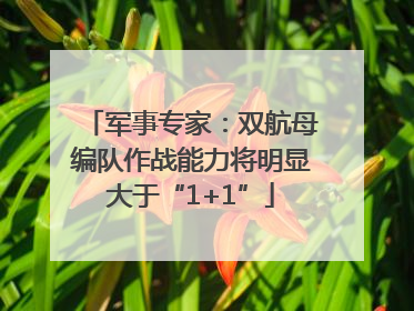 军事专家：双航母编队作战能力将明显大于“1+1”