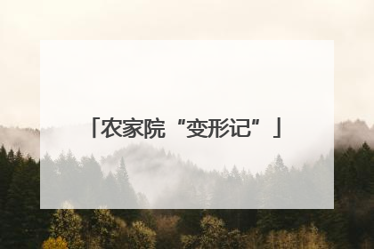农家院“变形记”