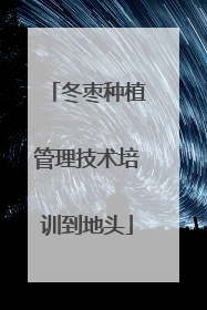 冬枣种植管理技术培训到地头