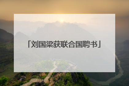 刘国梁获联合国聘书