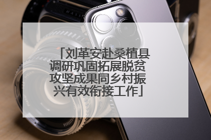 刘革安赴桑植县调研巩固拓展脱贫攻坚成果同乡村振兴有效衔接工作