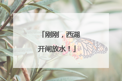 刚刚，西湖开闸放水！