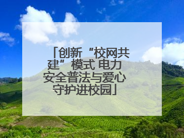 创新“校网共建”模式 电力安全普法与爱心守护进校园