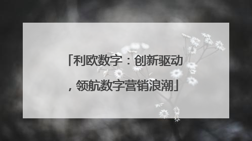 利欧数字：创新驱动，领航数字营销浪潮