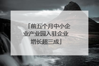 前五个月中小企业产业园入驻企业增长超三成