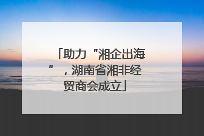 助力“湘企出海”，湖南省湘非经贸商会成立