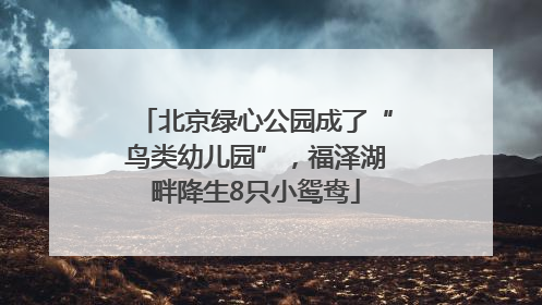 北京绿心公园成了“鸟类幼儿园”，福泽湖畔降生8只小鸳鸯
