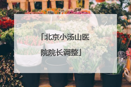 北京小汤山医院院长调整