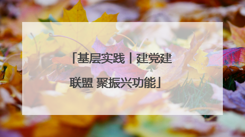基层实践丨建党建联盟 聚振兴功能