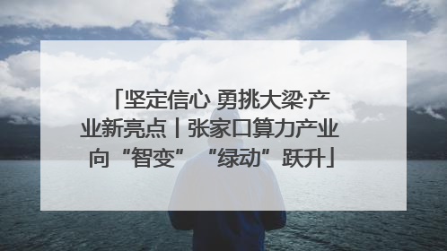 坚定信心 勇挑大梁·产业新亮点丨张家口算力产业向“智变”“绿动”跃升