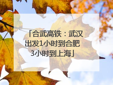 合武高铁：武汉出发1小时到合肥3小时到上海