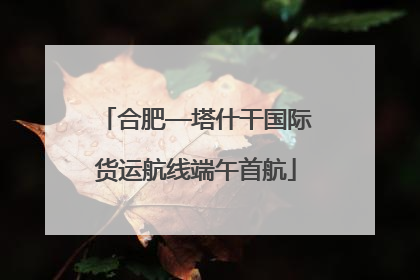 合肥—塔什干国际货运航线端午首航