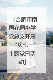 合肥市南国花园小学党总支开展“庆七一”主题党日活动