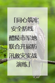 同心筑牢安全防线 醴陵市军地联合开展防汛救灾实战演练