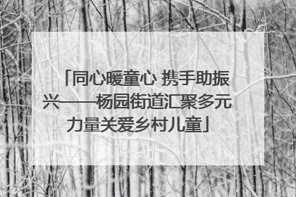 同心暖童心 携手助振兴——杨园街道汇聚多元力量关爱乡村儿童