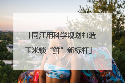 同江用科学规划打造玉米锁“鲜”新标杆