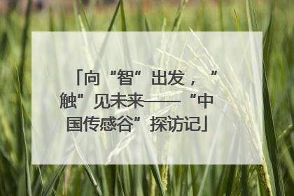 向“智”出发，“触”见未来——“中国传感谷”探访记
