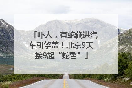 吓人，有蛇藏进汽车引擎盖！北京9天接9起“蛇警”